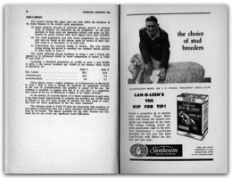1965 Page 60